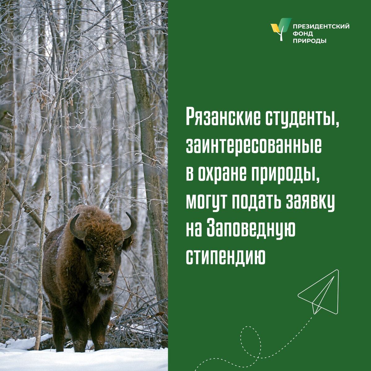 Фото: Администрация Спасского муниципального округа — ВКонтакте